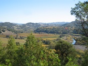 Russian River Overlook View